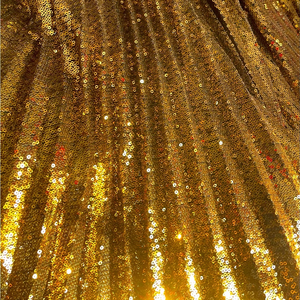 Stunning New Ralph Lauren Gold Pleated Sequined Midi Skirt - Picture 5 of 6